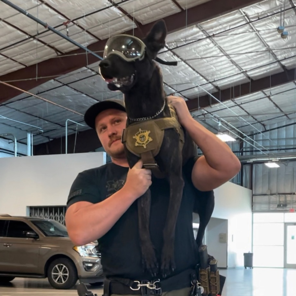 K-9 Unit Having Fun