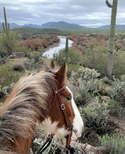 MCSOMU Salt River