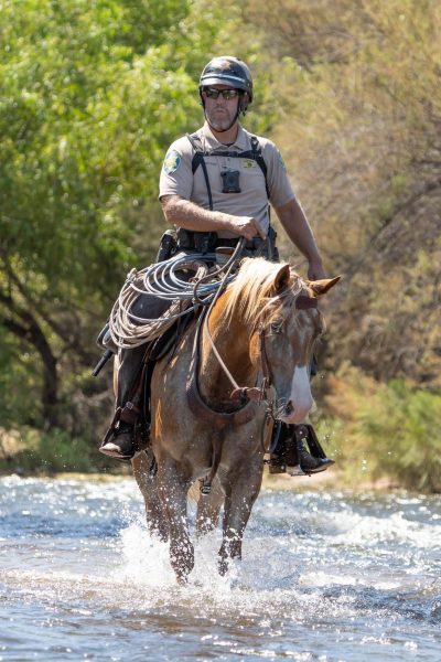 MCSO Mounted Unit's Whisper and Clint treading water